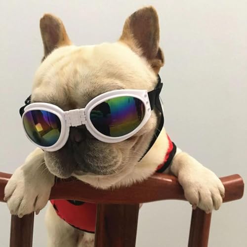 Hundebrille Sonnenbrille für Hunde Anti-UV Schutzbrille, Winddichte Wasserdichte Dog Polarized Sunglasses mit Verstellbarer Riemen für Kleine und Mittlere Hunde (1 Schwarz,Einstellbar)