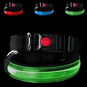 PETTY Collar Luminoso para Perros Ajustable LED – Collar Transpirable Recargable por USB, Cierre Ajustable y botón de Seguridad Anti-estrangulamiento – Perros pequeños, medianos y Grandes(XXS Verde)