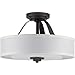 Progress Lighting Kene Collection Graphite Two-Light Semi-Flush Convertible,Black