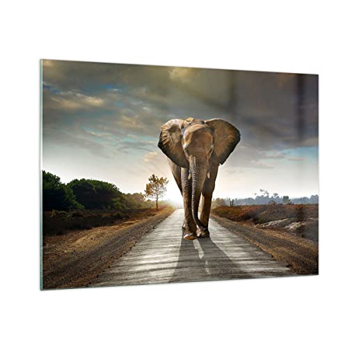 Bilder auf Glas 100x70cm Glasbild Elefant Straße Landschaft Groß Wanddeko Bild im Glas Schlafzimmer Küche Deko Wandbilder Dekoration Wohnzimmer Modern Wall Decor Wand Kunstdruck Art GAA100x70-0214