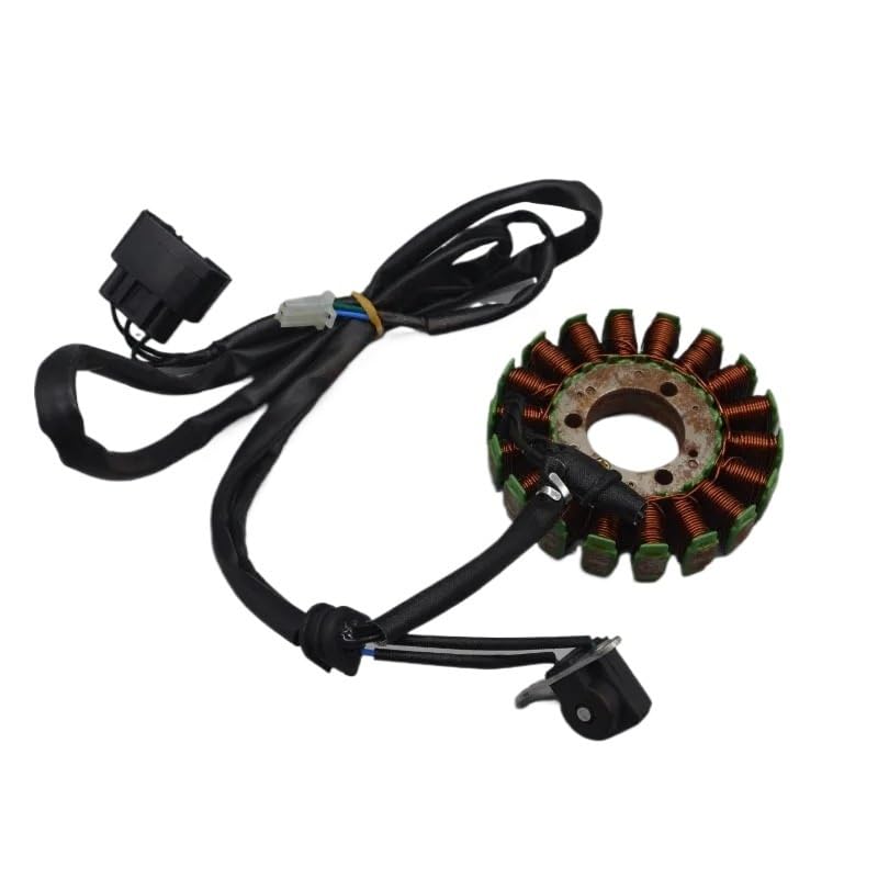 Bobine stator allumage moto en cuivre haute résistance pour BJ250T-8