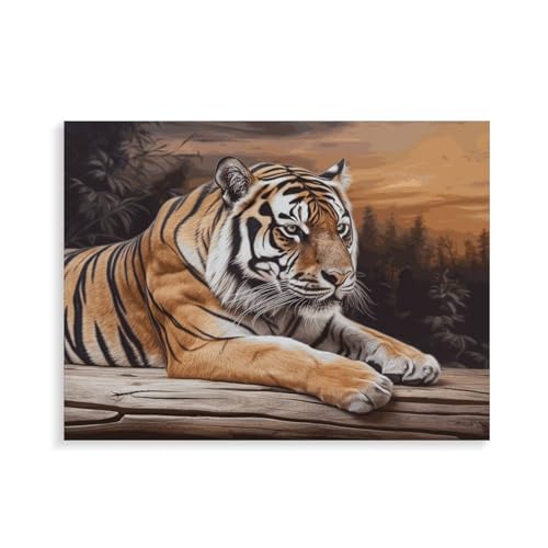 Kit peinture par numéros adulte motif tigre tableau acrylique débutant 40x30cm