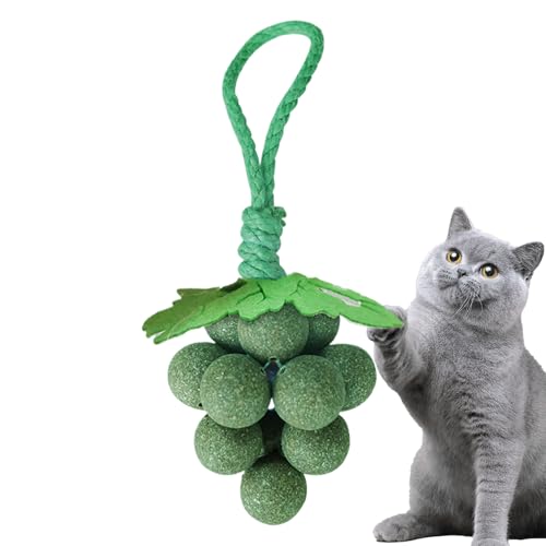 Generico Catnip Speelgoed - Catnip Speelgoed | Kauwspeelgoed 'Druiven' | Interactieve simulatie van Kittenvruchten voor rustige oefening Jaming Excites bij het spelen in huis
