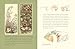 A Visit to Brambly Hedge: An illustrated companion to the world of Brambly Hedge, perfect for collectors and fans of Jill Barklem!