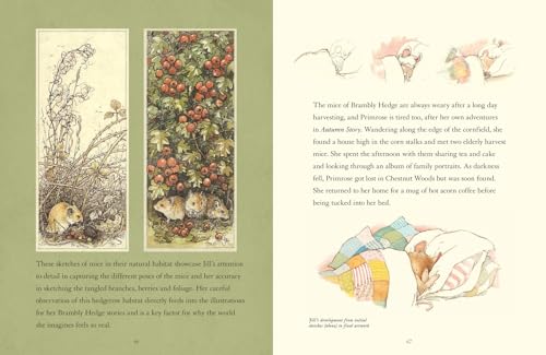 A Visit to Brambly Hedge: An illustrated companion to the world of Brambly Hedge, perfect for collectors and fans of Jill Barklem! - Image 5