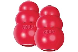 Dr. Kong 2 Pack Large Classic Orthopedic Dog Bed