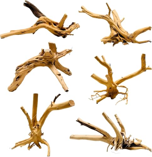 Azil spiderwood Natural Aquarium