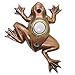 Waterwood Bronze Plated Frog Doorbell - Wired & Illuminated Push Button Cast in Durable Polyresin