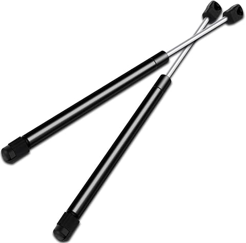 ECCPP Hood Lift Supports Struts Gas Springs for Ford for F-150 1997-2004