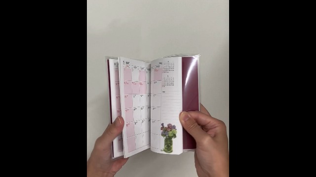 Amazon.co.jp: 橋本不二子 手帳 2025年 A6 マンスリー ピンク枠 DY-112