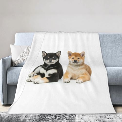 uPbg Č    tl \t@ѕz |zc ѕz  tluPbg I[V[Y v[g 76X102cm