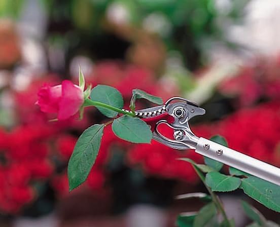 Miniatura 2 de ARS Podadora de rosas, 2 pies