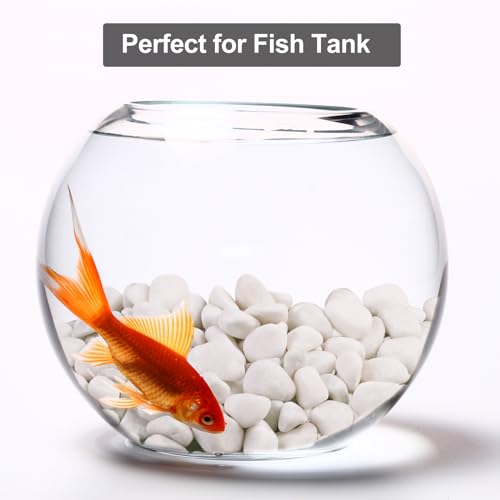 Image of 5Ib Snow White River Rock-Decorative Stones-Pebbles for Indoor Plants-Rocks for Outdoor Landscaping- 0.3 inch-0.8 inch inch High Polished Stones for Fish Tank, Terrarium,Vases, Home Decor