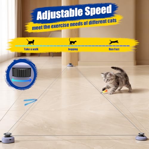 Interactive Cat Feather Toys for Indoor Cats Chasing Running Exercise - Image 4