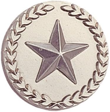 SHOP AWARDS AND GIFTS Star with Wreath Metallic Lapel Pins for Students Appreciation Reward Employees, Pack of 12, 7/8 Inch,