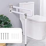 Barra de apoyo de inodoro elevable HAMON Barra de apoyo plegable de almacenamiento reversible a 90 ° y giratorio a 180 ° 300 kg de carga instalación en el inodoro baño (1 con las piernas)