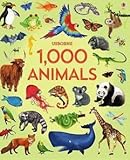 1000 Animals revised