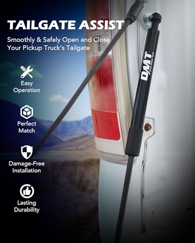 Compatible with 09-16 Ram 1500 2500 3500 Tailgate Assist Accessories, Truck Tail Gate Lift Assist Tailgate Shock Compatible with Dodge Ram 1500 2500 3500 2009 2010 2011 2012 2013 2014 2015 2016