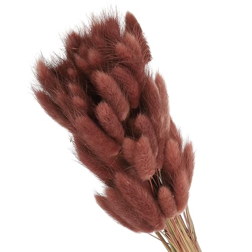Patikil 15.7 Pulgadas Colas De Conejo Flores Secas 70pcs Cola De Conejo Natural Peluda Falsa Seca Para Decoración Boho Hogar Jarrón Bodas Marrón Rojo