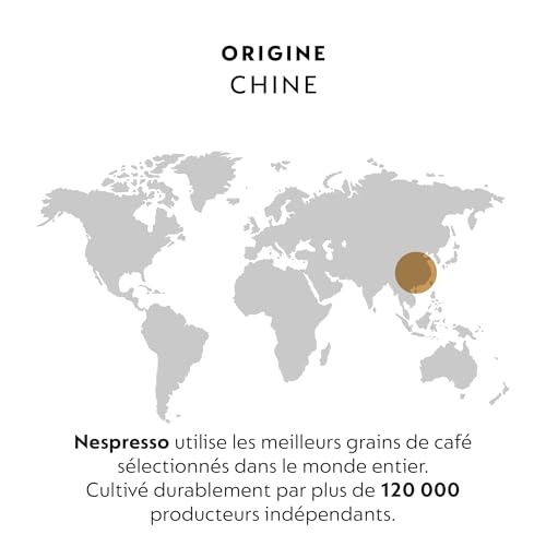 Café Joyeux Nespresso Professionnel 100 capsules solution café de bureau