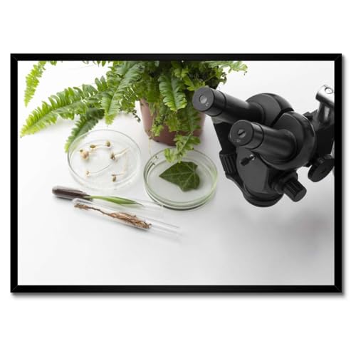 Microscope poster encadre decoration murale biologie 70x50 tableau