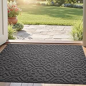 DEXI Schmutzfangmatte 44 x 76cm, rutschfest Fußmatte Innen,...