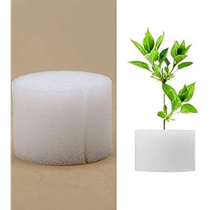 Cafopgrill 100 stuks hydroponische spons planten tuingereedschap, Soilless Hydroponics groenteteeltsysteem zaailing sponzen kas