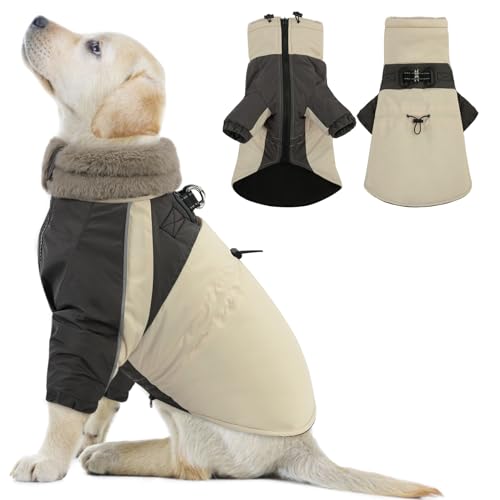 CITÉTOILE Hundemantel Winter, Wasserdicht & Winddicht Mit Geschirr für Kleine, Mittlere und Große Hunde, Reflektierende Hundejacke Mit Bauchschutz