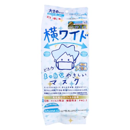 [ȂCompany] {sDz}XN GXpbN Ch܂Ȃ₳}XN 傫߃TCY 30w5pbN