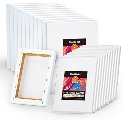 Shuttle Art Stretched Canvas Cover