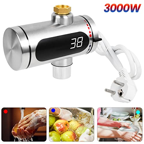 Riscaldatore istantaneo del giardino dell'acciaio