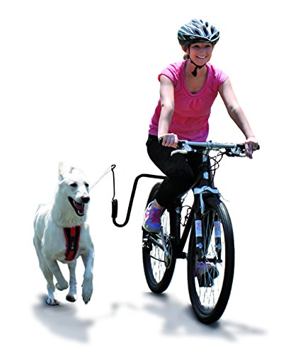 Springer Fahrradhalterung für Hundeleine - Hands-Free Pet Leash - Universal für Fahrräder - Schwarz, Large