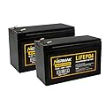 Nermak 2 Pack 12V 10Ah Lithium Ion LiFePO4 Deep Cycle Battery, 2000+ Cycles Rechargeable Battery for Solar/Wind Power, UPS, Scooters, Lighting, Power Wheels, Fish Finder Built-in 10A BMS