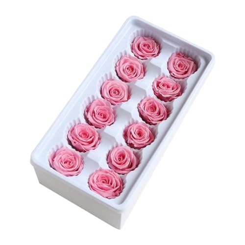 GETAJGHSD Flores Preservadas Inmortales para Decoración de Bodas 12 Piezas Rosa Clara 3-4 CM Cabezas Accesorios para Ramos y Aniversarios