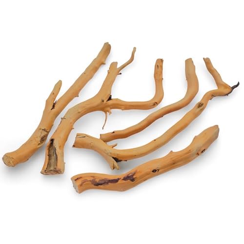 Azil Natural Driftwood Root Mix (5 pcs) – 100% Natural