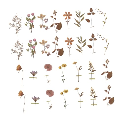 Tofficu 80 ybgXebJ[pbN XP[g{[h̃XebJ[ BbL[t[f Diy A[gf Diy ybg^O XP[g W[i