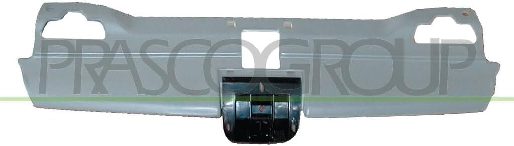 PG0572001 Radiator Grille