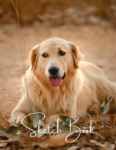 Sketchbook Golden Retriever In Fall Cover: Simple Blank Sketchbook for Kids and Adults, Blank Space for Drawing. Dog Lovers Gifts, Unique Gift Idea for Young Artists image 2