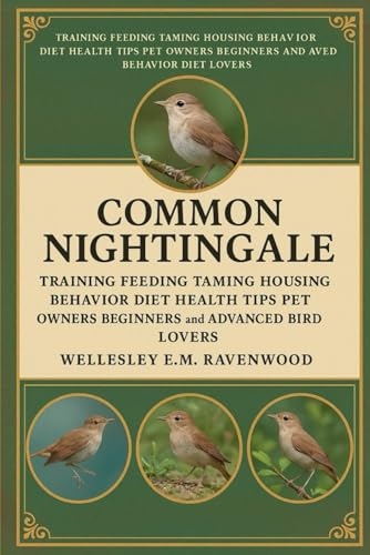 Common Nightingale: training feeding taming housing bonding behavior diet health tips pet owners beginners and advanced bird lov