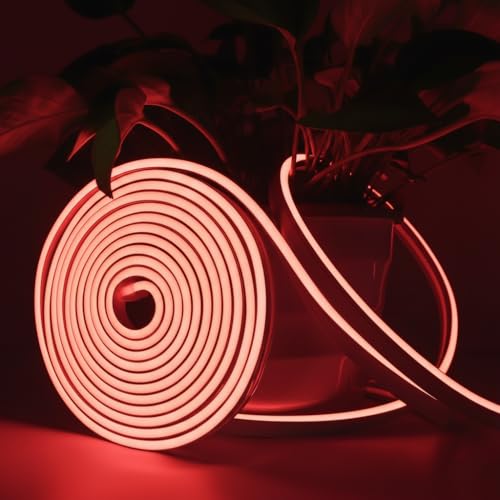 Image of 16.4 Feet LED Neon Strip Lights with 12V Adapter, Waterproof IP65, Silicone Flexible Rope Light for Home Wall Decor | Neon Lights | 5 Meter | Neon Rope Light | (RED)