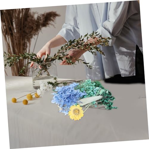 Flores prensadas naturales para manualidades 1 unidad miniatura 4