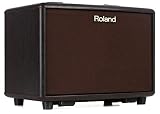 Roland AC-33RW