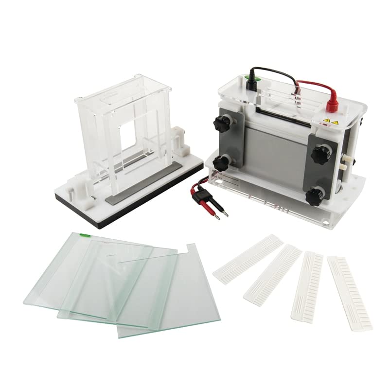 Vertical Electrophoresis System Tank (FSF-SCZ9)