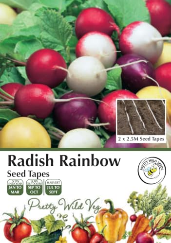 Radish Rainbow Seed Tape in Pictorial Packet - 5m