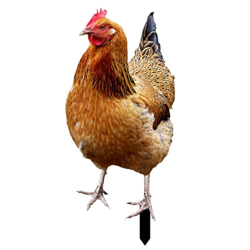 Chicken Yard: gallina realista realista con detalles de plumas vívidas | Partes de jardín de pollo | Estatua de gallo de aves de corral para una encantadora decoración al aire libre en jardines, céspe