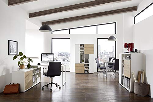 Germania Aktenschrank GW-Paseo | In Weiss und Kendal Eiche | 113 x 121 x 40 cm - 4182-535 Germania Aktenschrank GW-Paseo | In Weiss und Kendal Eiche | 113 x 121 x 40 cm