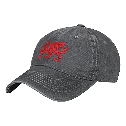 Welsh Dragon Kids Adjustable Baseball Cap Distressed-Washed Plain Hat Cotton Sun Sports Denim Hats Toddler Casquette Caps for Boys Girls 4-12 Years