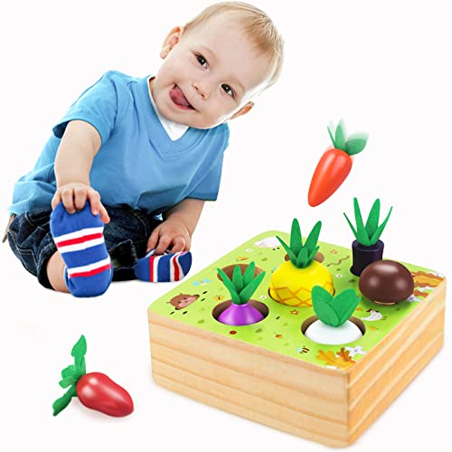 CENOVE Montessori Toys for 1 2 3 Year Old Boy Girl,STEM Educational Wooden Toys Shape Sorter Puzzle,7 Size Vegetables and Fruits Harvest Wooden Toy Gift for Toddlers