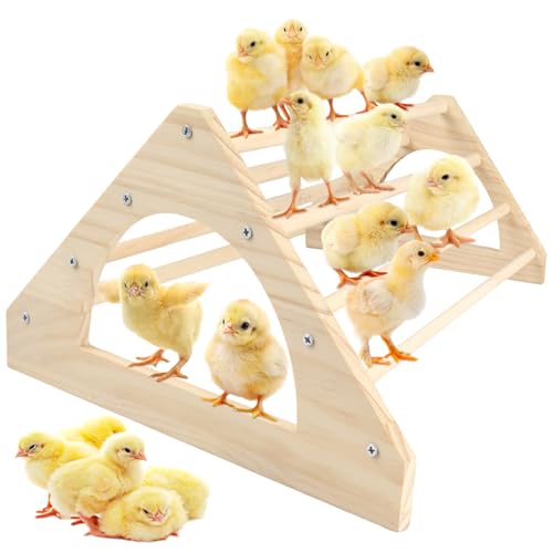 Large Wood Pine Chick Perch 14.4 L x 10.6 W x 6.7 H Wooden Perch Chicks Toys for Coop and Brooder Strong Chicken Jungle Gym Roosting Bar for Baby Chicks