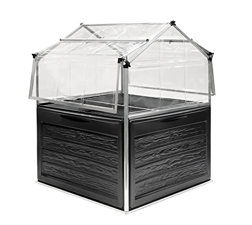 Canopia by Palram Mini Gewächshaus Bausatz Plant Inn 118x118cm...